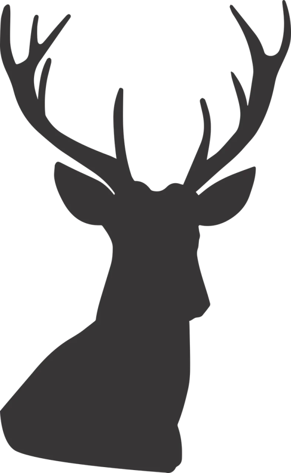 a deer head silhouetted on a white background