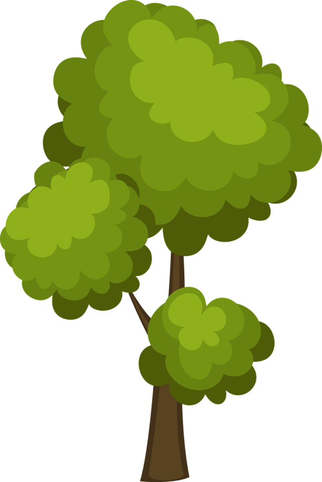 a tree with green leaves