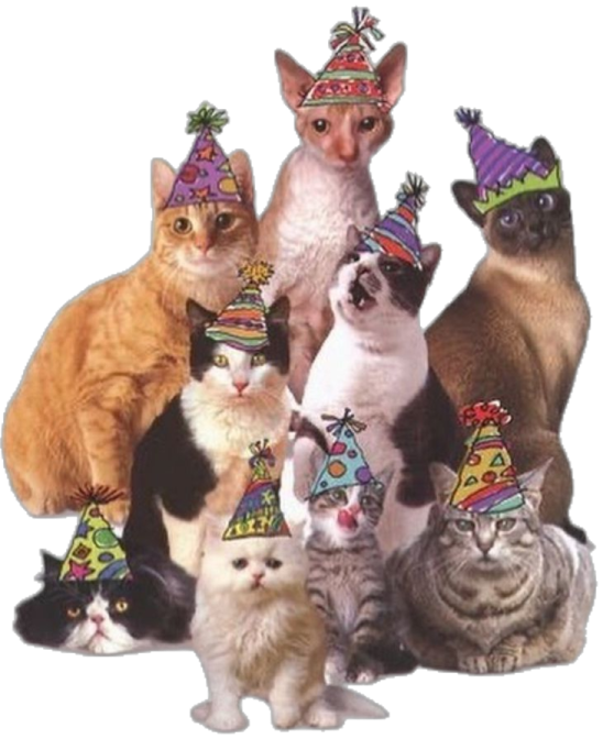 a group of cats wearing party hats