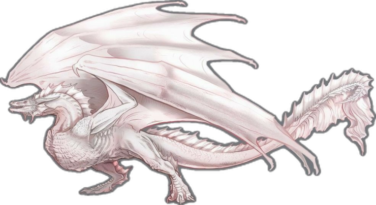 a drawing of a white dragon