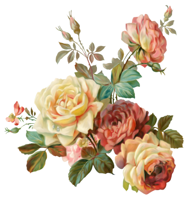 a bouquet of roses on a white background