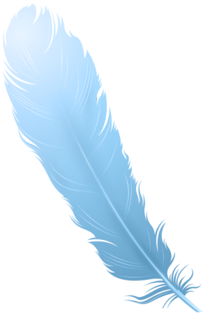 a blue feather on white background
