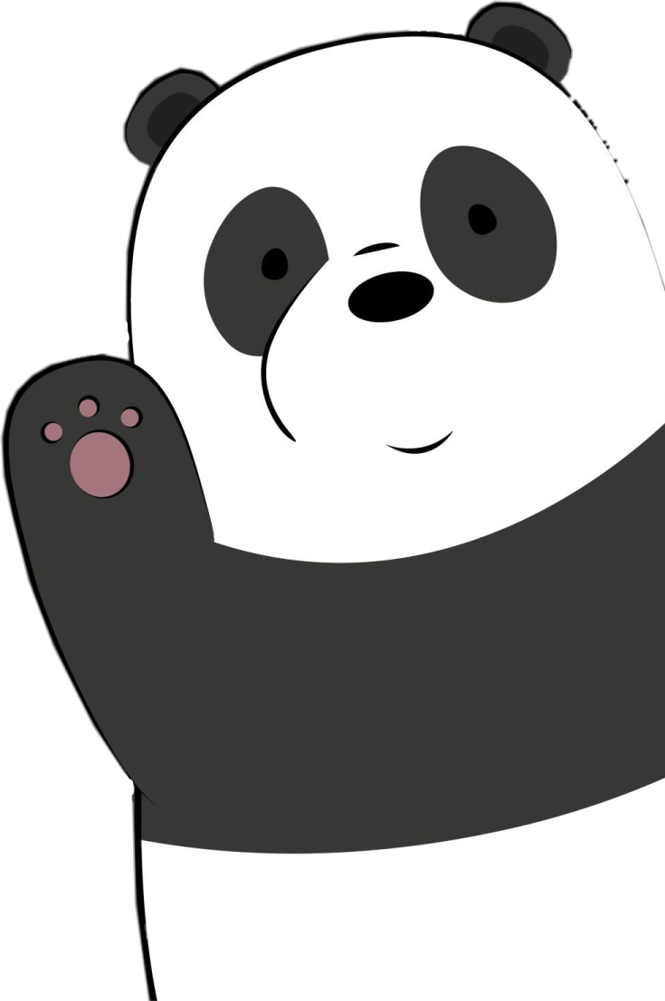 a black and white panda bear with its arms up