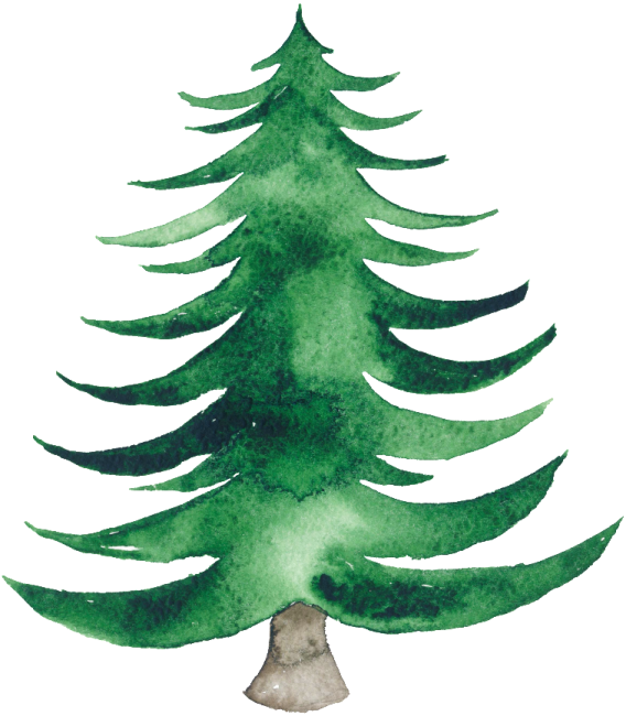 a watercolor christmas tree