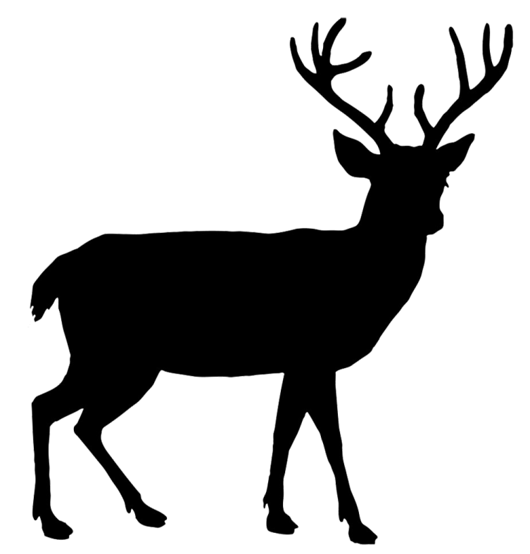 a deer silhouetted on a white background