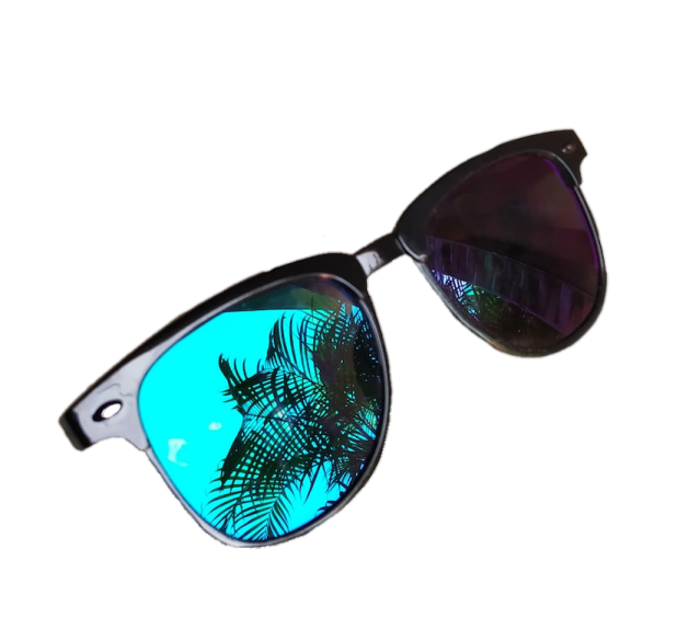 a pair of sunglasses with palm leaves on them