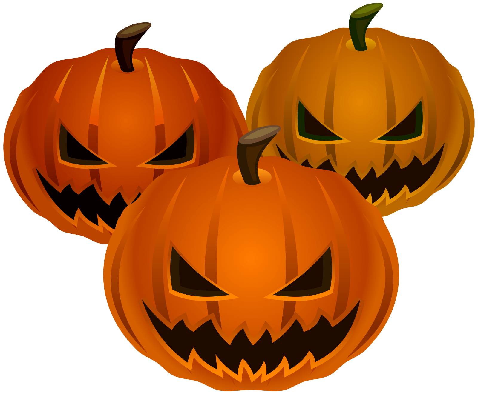 three pumpkins on a white background