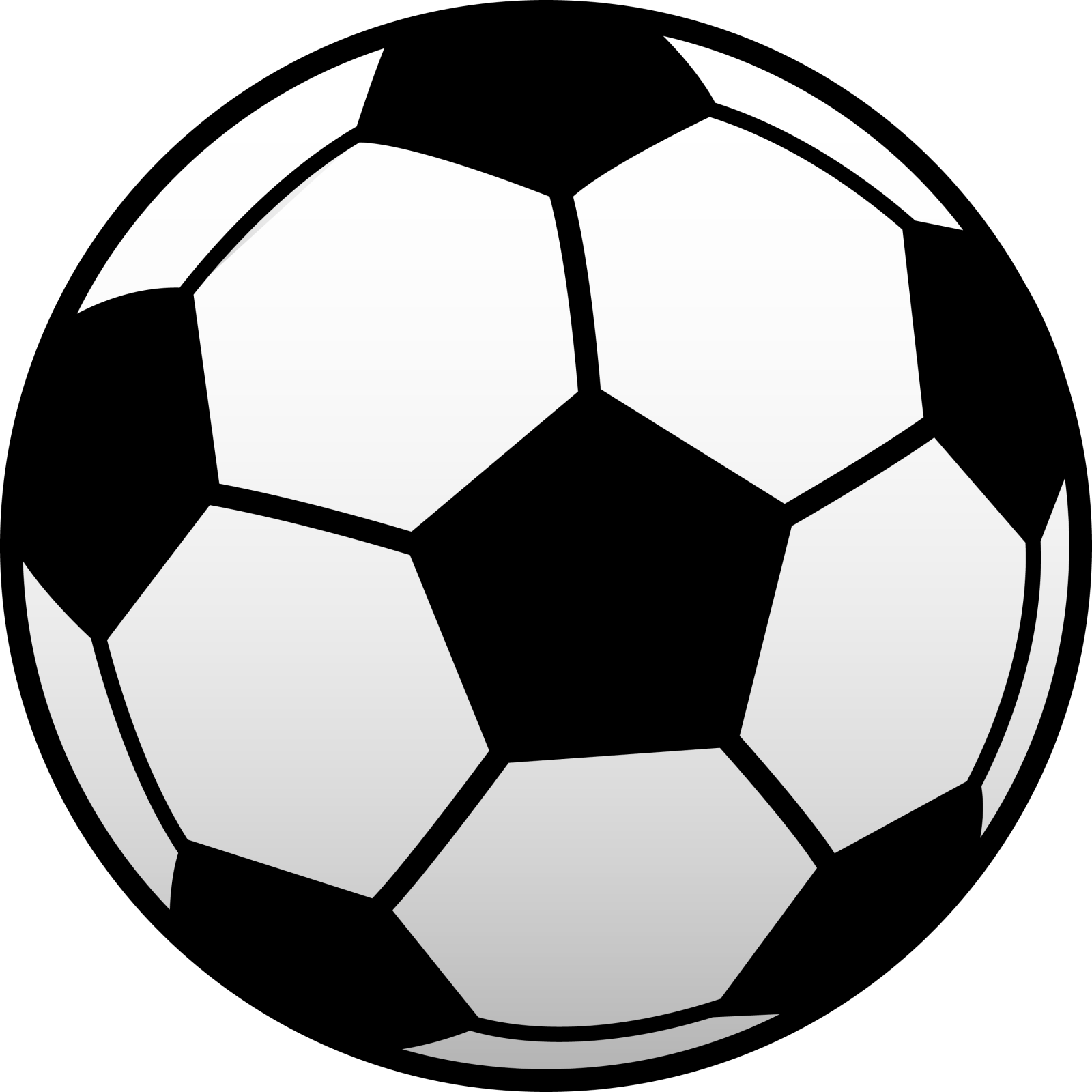 a soccer ball on a white background