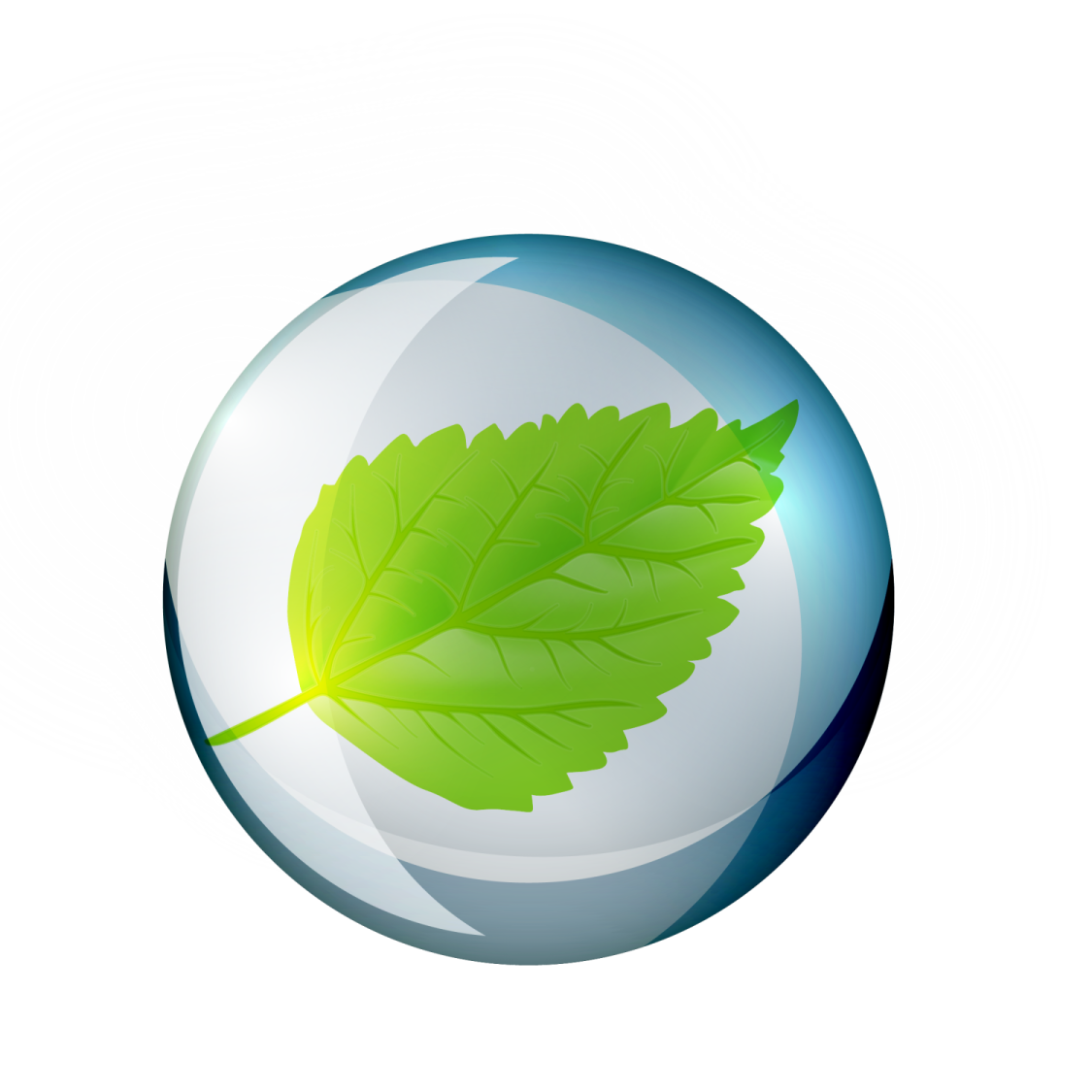 a glass ball with a green leaf inside