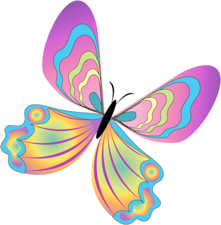 a colorful butterfly on a white background