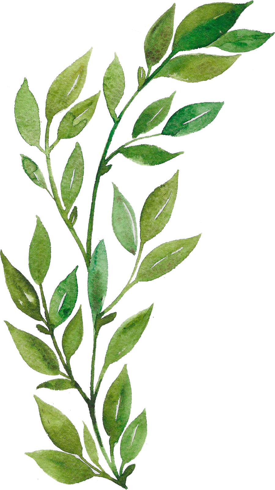 a watercolor painting of green leaves