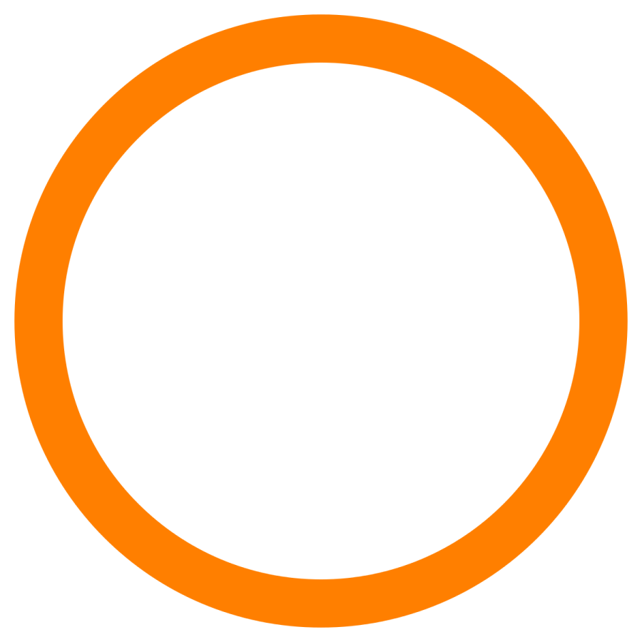 an orange circle on a white background