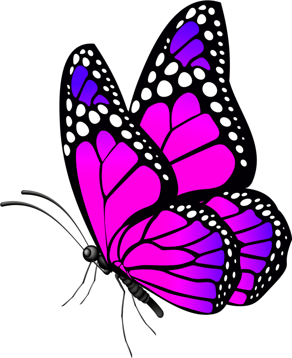 a purple butterfly with white dots on it's wings