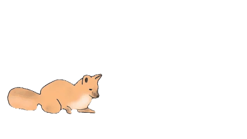 a drawing of a squirrel on a white background