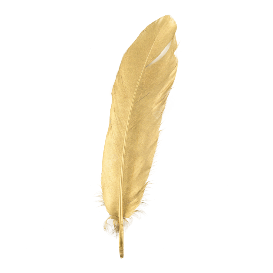 a golden feather on a white background