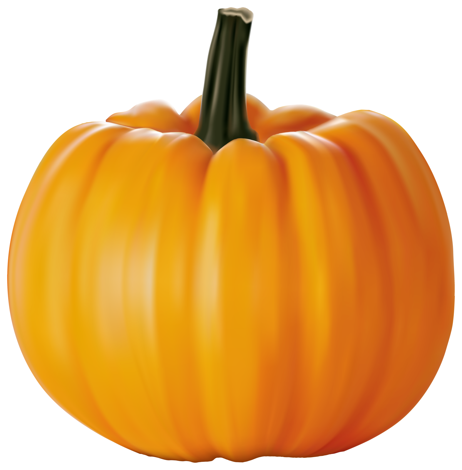 a large orange pumpkin on a white background