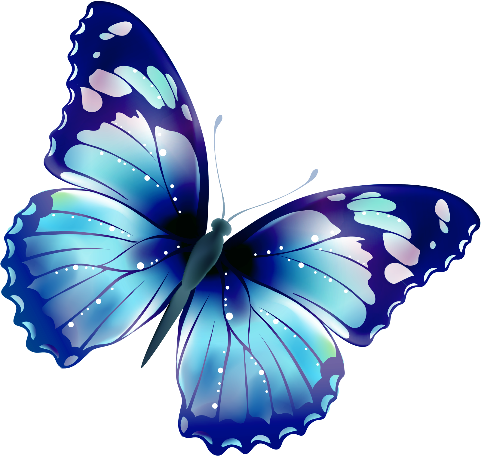 a blue butterfly on a white background