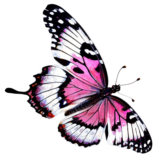 a pink butterfly on a white background