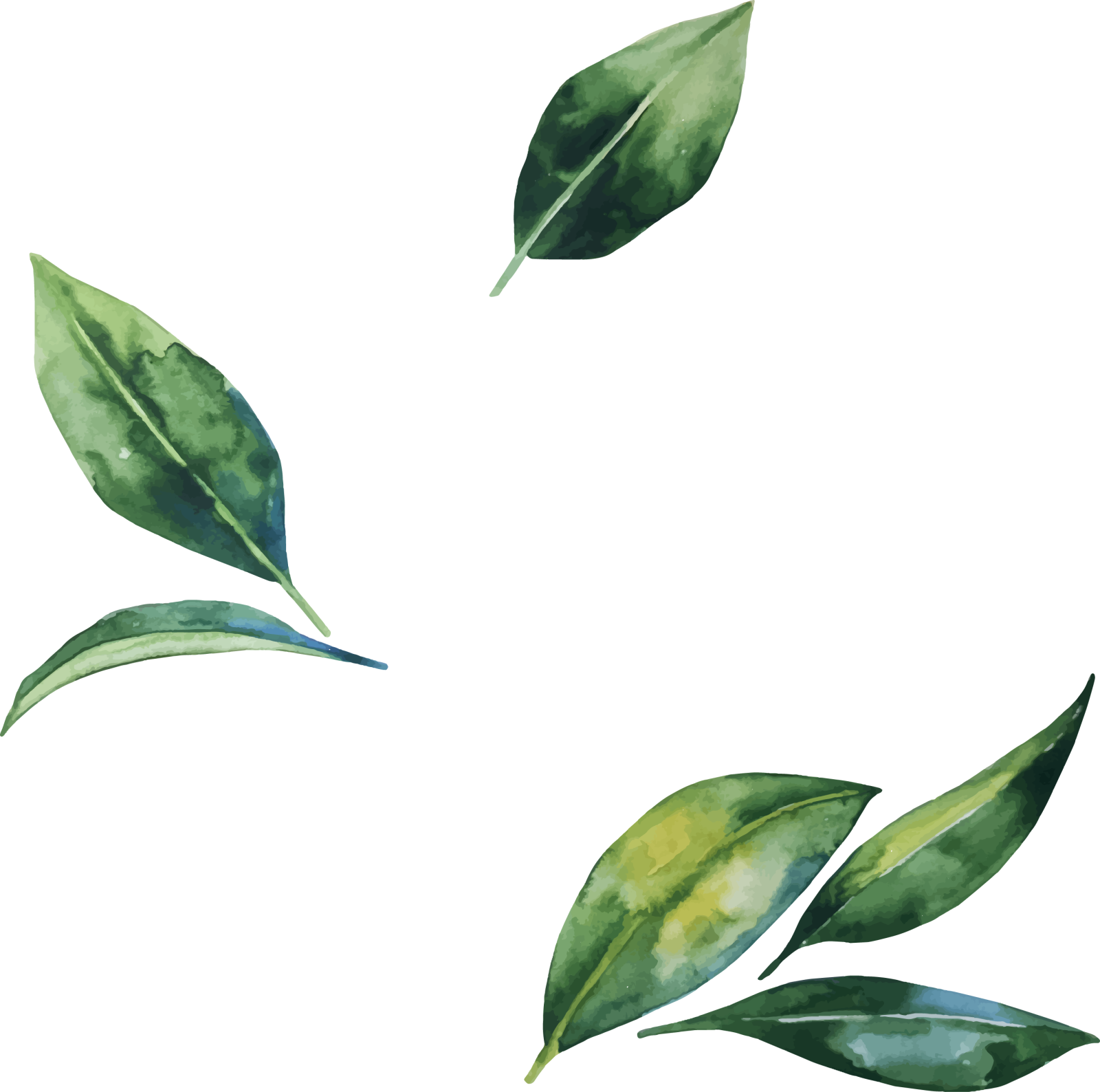 a watercolor painting of green leaves