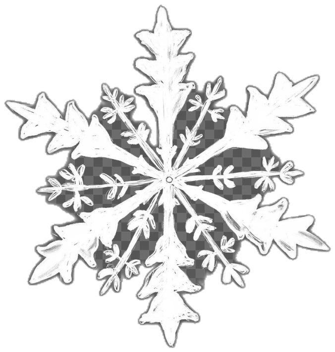 a black and white snowflake on a white background