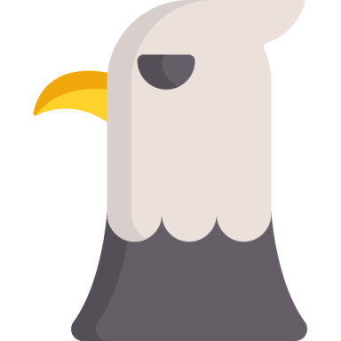 a white bird with yellow beak on its head