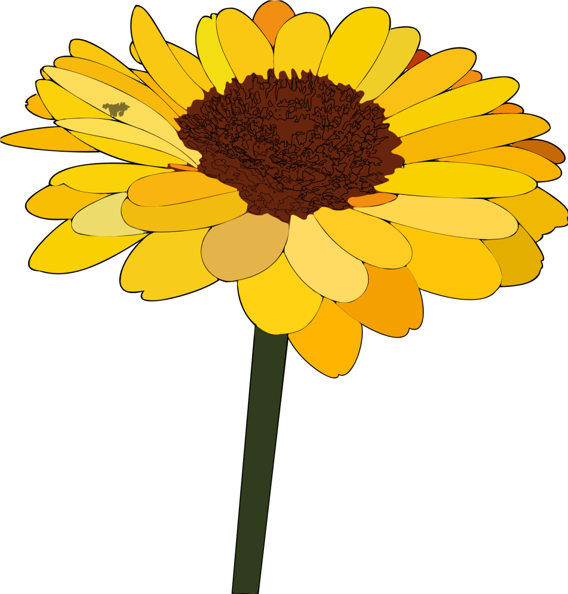 a yellow flower on a white background
