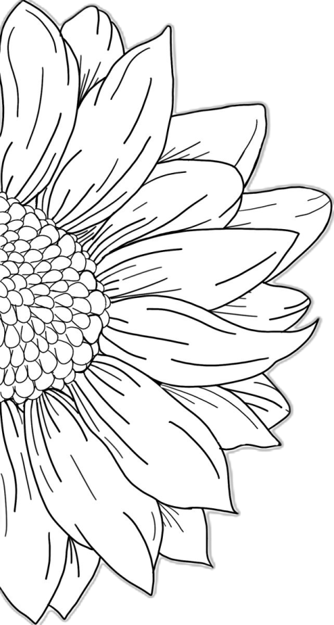 a black and white flower