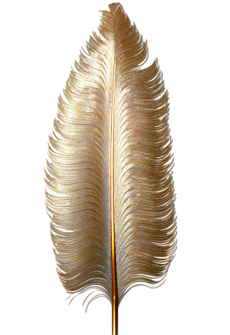 a golden feather on a white background