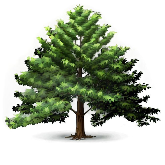 an illustration of a tree with green leaves