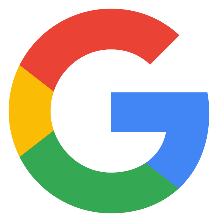 the google logo