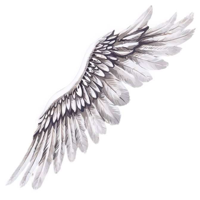 a watercolor drawing of an angel wing