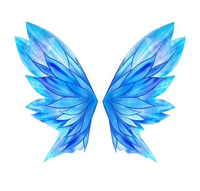 a pair of blue wings