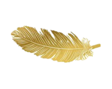 a golden feather on a white background