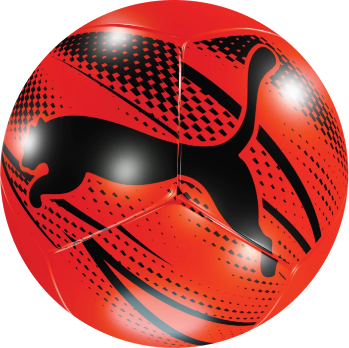 a soccer ball with an image of a dog on it