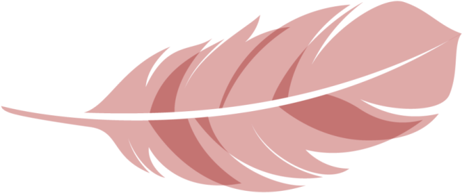 a pink feather on white background