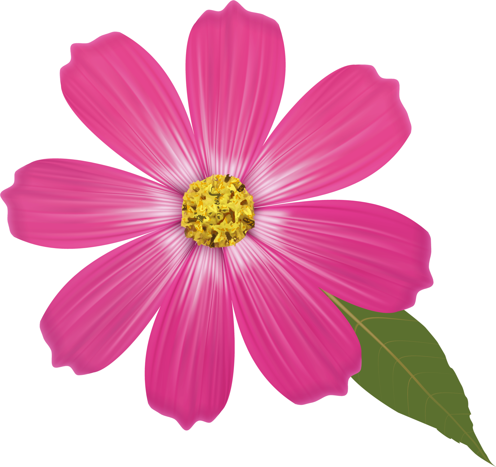 a pink flower with green leaves
