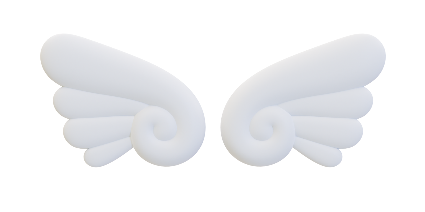 a pair of white wings on a white background