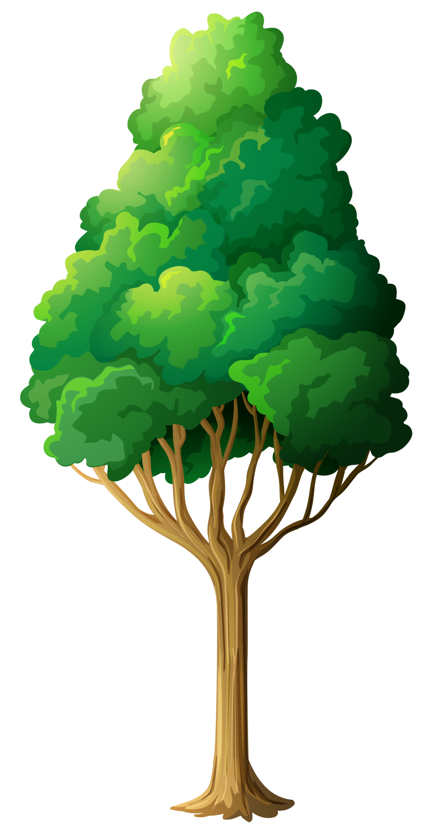 a green tree on a white background