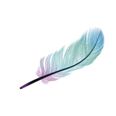 a colorful feather on a white background