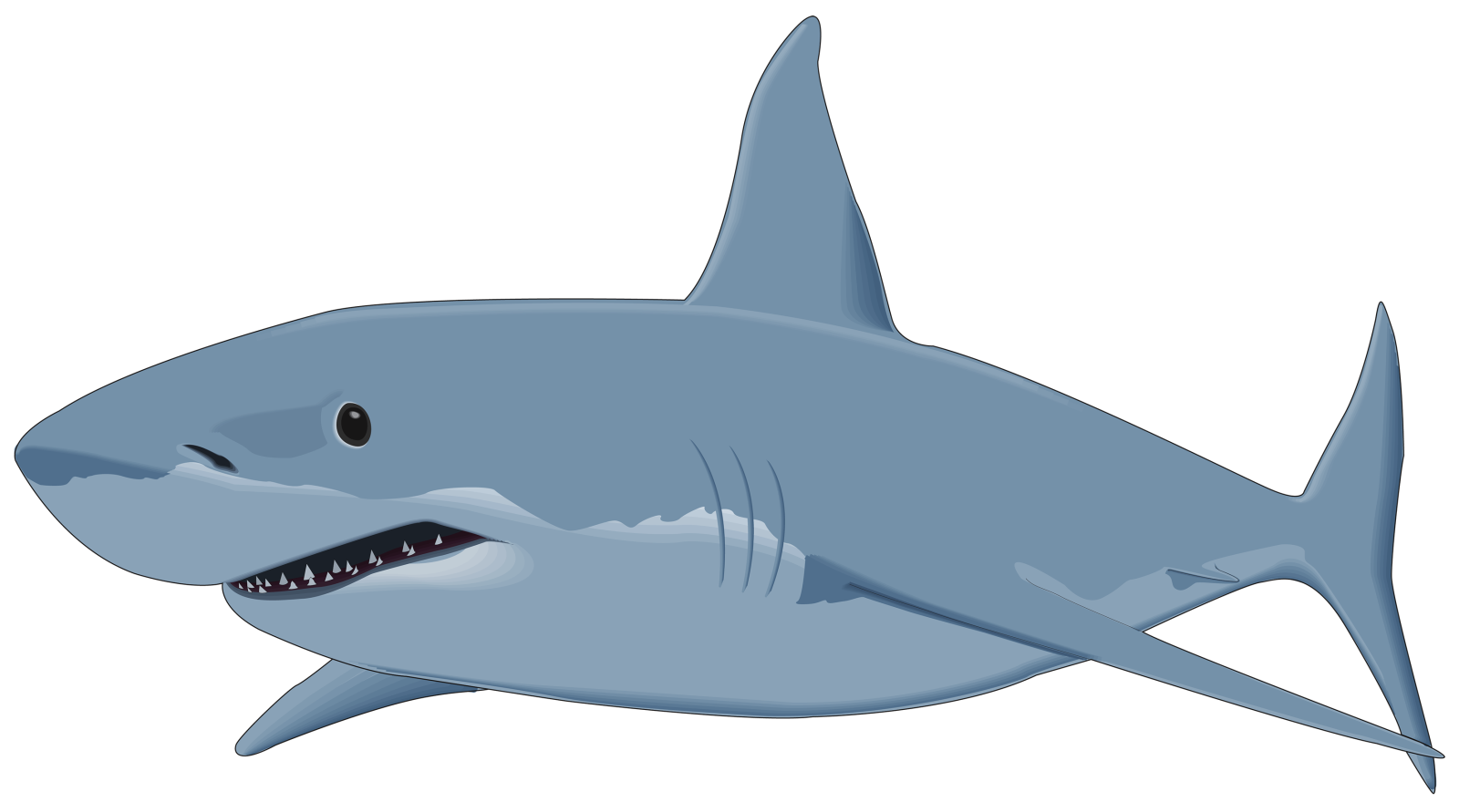 a cartoon shark with its mouth open