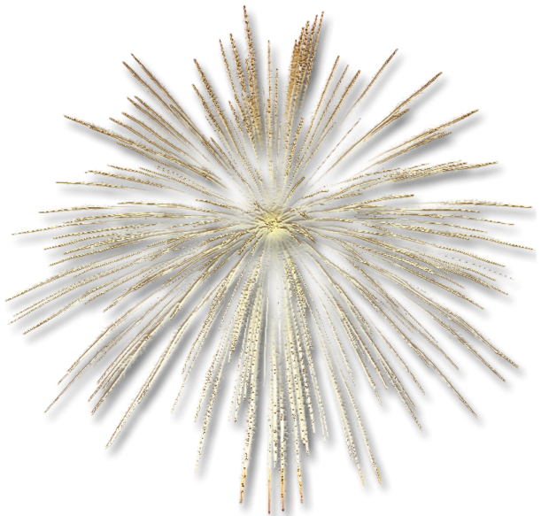 a gold and white star burst wall decoration