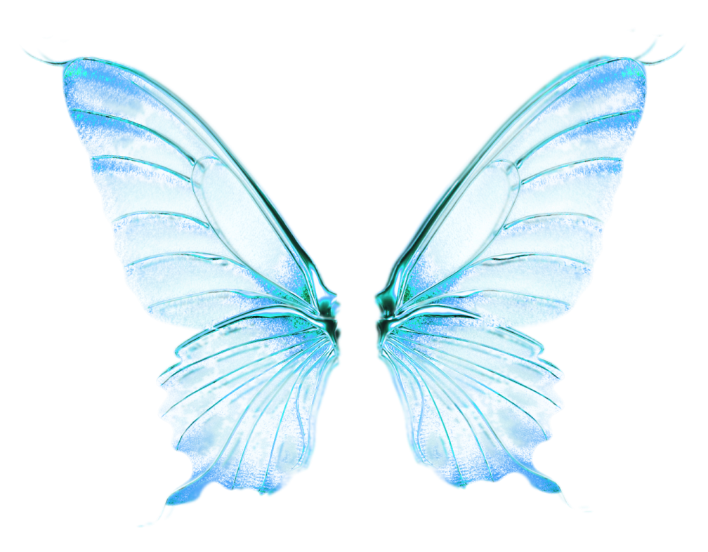 a blue butterfly on a white background