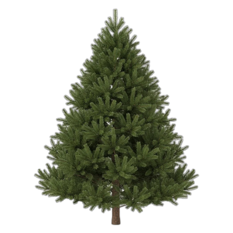 a small christmas tree on a white background