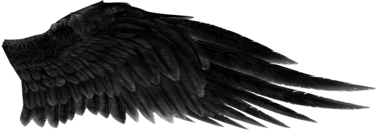 a drawing of an angel's wings