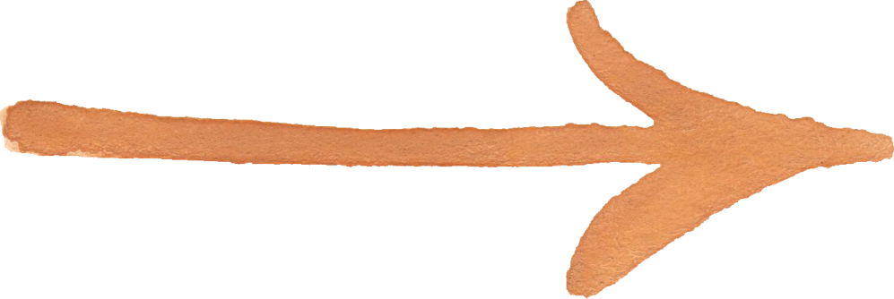 a starfish on a white background