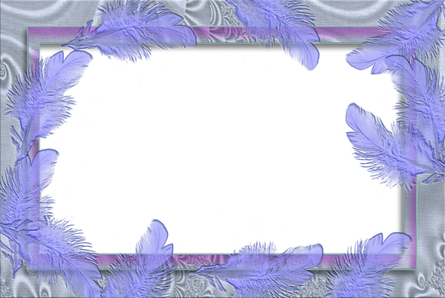 a blue frame with feathers on it