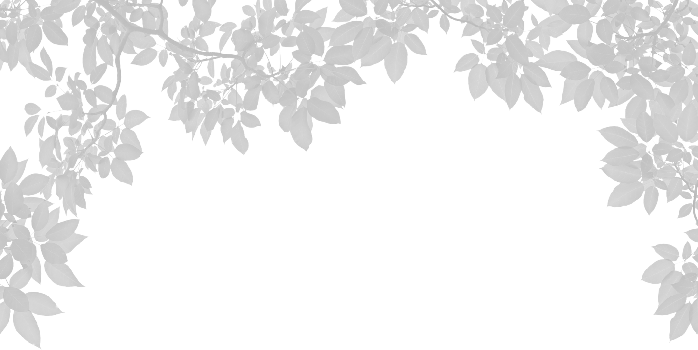a white background with leaves and branches