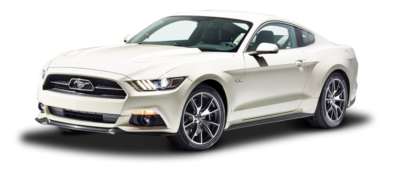 a white mustang is shown in this image