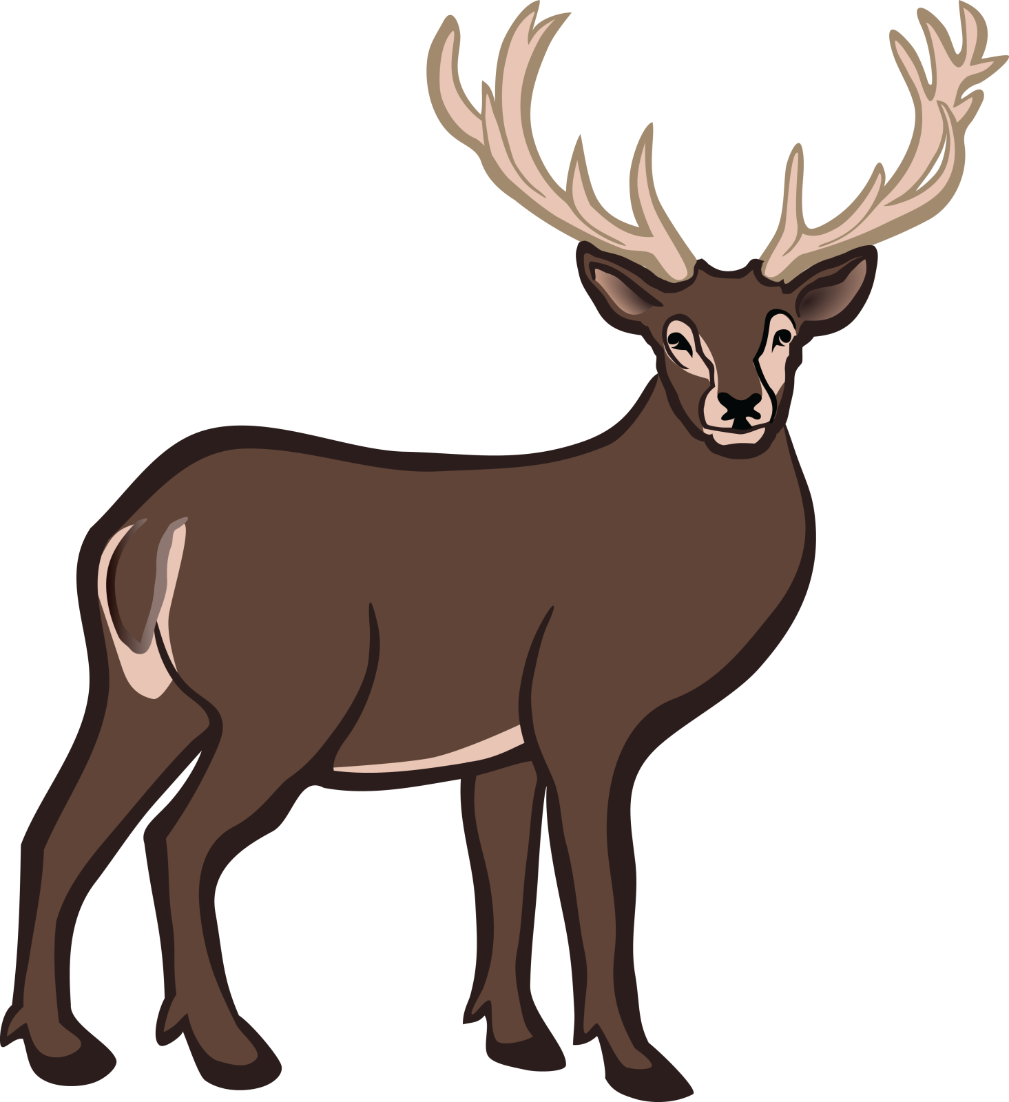 a brown deer standing on a white background