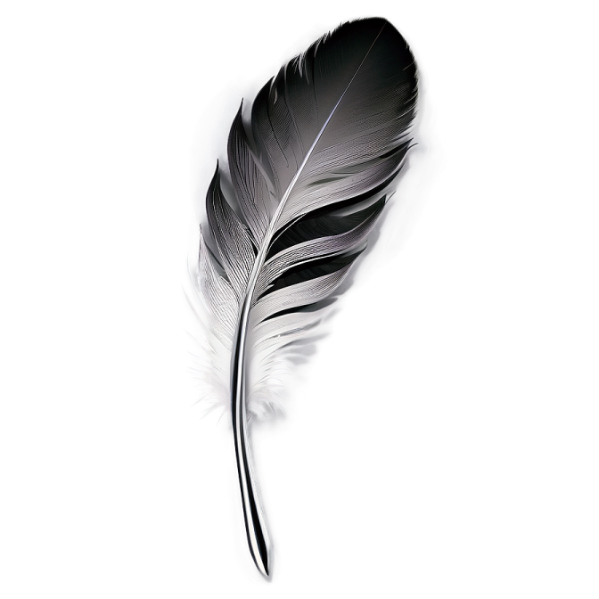 a black and white feather on a white background